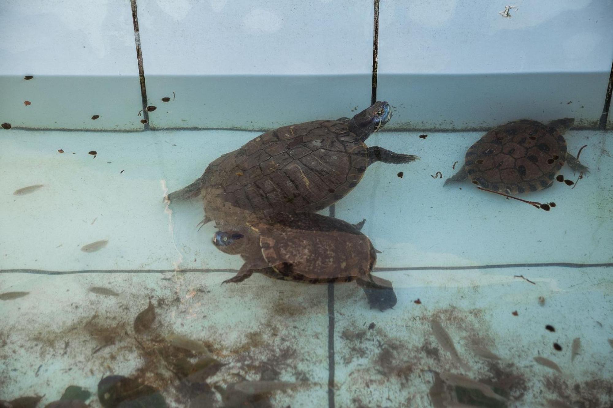Pousada Sestrem - Sao Joao Batista - Sc エクステリア 写真